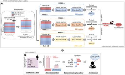 An explainable machine learning ensemble model to predict the risk of ovarian cancer in BRCA-mutated patients undergoing risk-reducing salpingo-oophorectomy